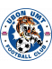 Ubon UMT FC