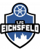 1.FC Eichsfeld Giovanili