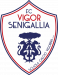 FC Vigor Senigallia