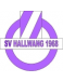 SV Hallwang 1968 II