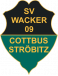 SV Wacker 09 Cottbus-Ströbitz U19