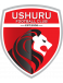 Ushuru FC