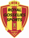 Royal Gosselies Sports