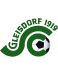 FC Gleisdorf 09 Giovanili