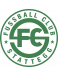 FC Stattegg Formation