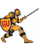 Gannon Golden Knights (Gannon University)