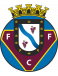 FC Felgueiras Formation