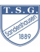 TSG Sandershausen II