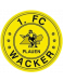 1.FC Wacker Plauen Formation