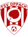 FSV Oppach (- 2022)