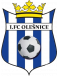 1.FC Olesnice