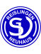 SV Reislingen/Neuhaus Formation