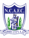 Newry City AFC Reserve
