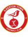 Ilkeston Town FC