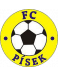 FC Pisek U19