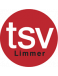 TSV Limmer Formation