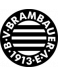 BV Brambauer 13