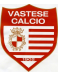 ASD Vastese Calcio 1902