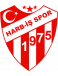 Erzurum Harb-Is Spor