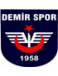 Istanbul Demirspor Jugend