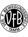 VfB Tamm