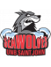 UNB Saint John Seawolves