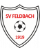 SV Feldbach II