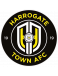 Harrogate Town U18