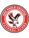 São Paulo Crystal FC