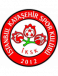 İstanbul Kayaşehir Spor