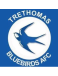 Trethomas Bluebirds