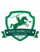 Phu Dong Ninh Binh FC