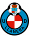 UD Llanera U19