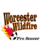 Worcester Wildfire