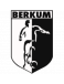VV Berkum II