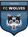 FC Tallinna Wolves 1arve