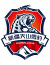 Xinjiang Tianshan Leopard (2011-2023)