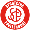SC Pfullendorf U19