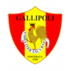 Gallipoli Football 1909
