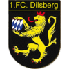 SG Dilsberg/Bammenthal
