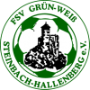FSV Grün-Weiß Steinbach-Hallenberg