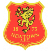 Newtown AFC Development Team
