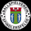 BSV Spindlersfeld