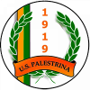 US Palestrina 1919