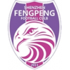 Shenzhen Fengpeng