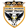 CS Soimii Pancota (1938 - 2016)