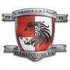 Cardiff Grange Harlequins