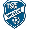 TSG Wieseck U17