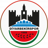 Diyarbekir Spor