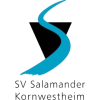 SV Salamander Kornwestheim